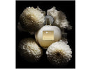 Perfume Banderas Her Golden Secret Feminino