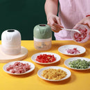 Mini Electric Food Processor 