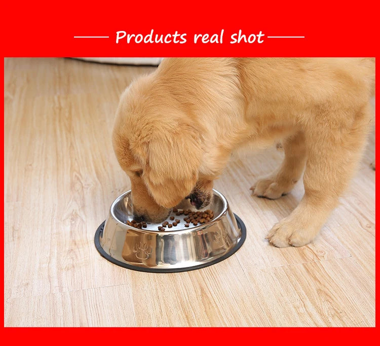 Stainless Steel Food/Water Bowl