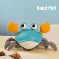 Crab toy 