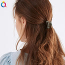 Garras de cabelo de plástico