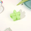 Garras de cabelo de plástico