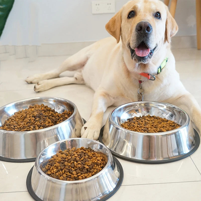 Stainless Steel Food/Water Bowl