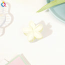 Garras de cabelo de plástico