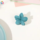 Garras de cabelo de plástico