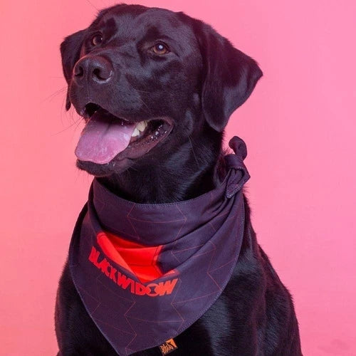 Bandana lenço pet marvel acessórios para animales de estimación, cachorro, gat