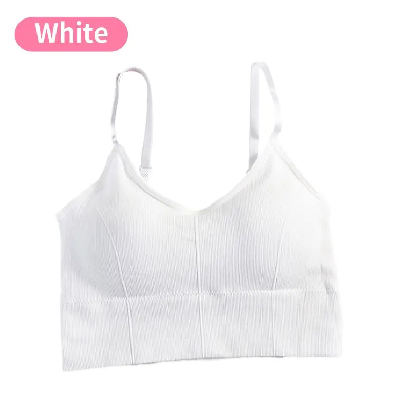 Women's Sports Bra 