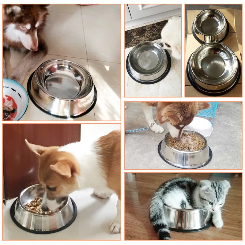 Stainless Steel Food/Water Bowl